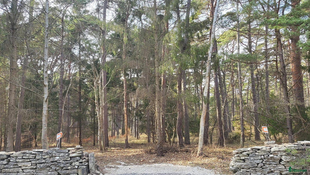  mark till salu: Tomt på sydspetsen av Gotland i Burgsvik - Annons 1