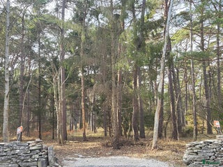 mark till salu: Tomt på sydspetsen av Gotland i Burgsvik - Annons 24