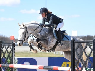 hästservice Hjälp med din häst i Ösmo - Annons 6