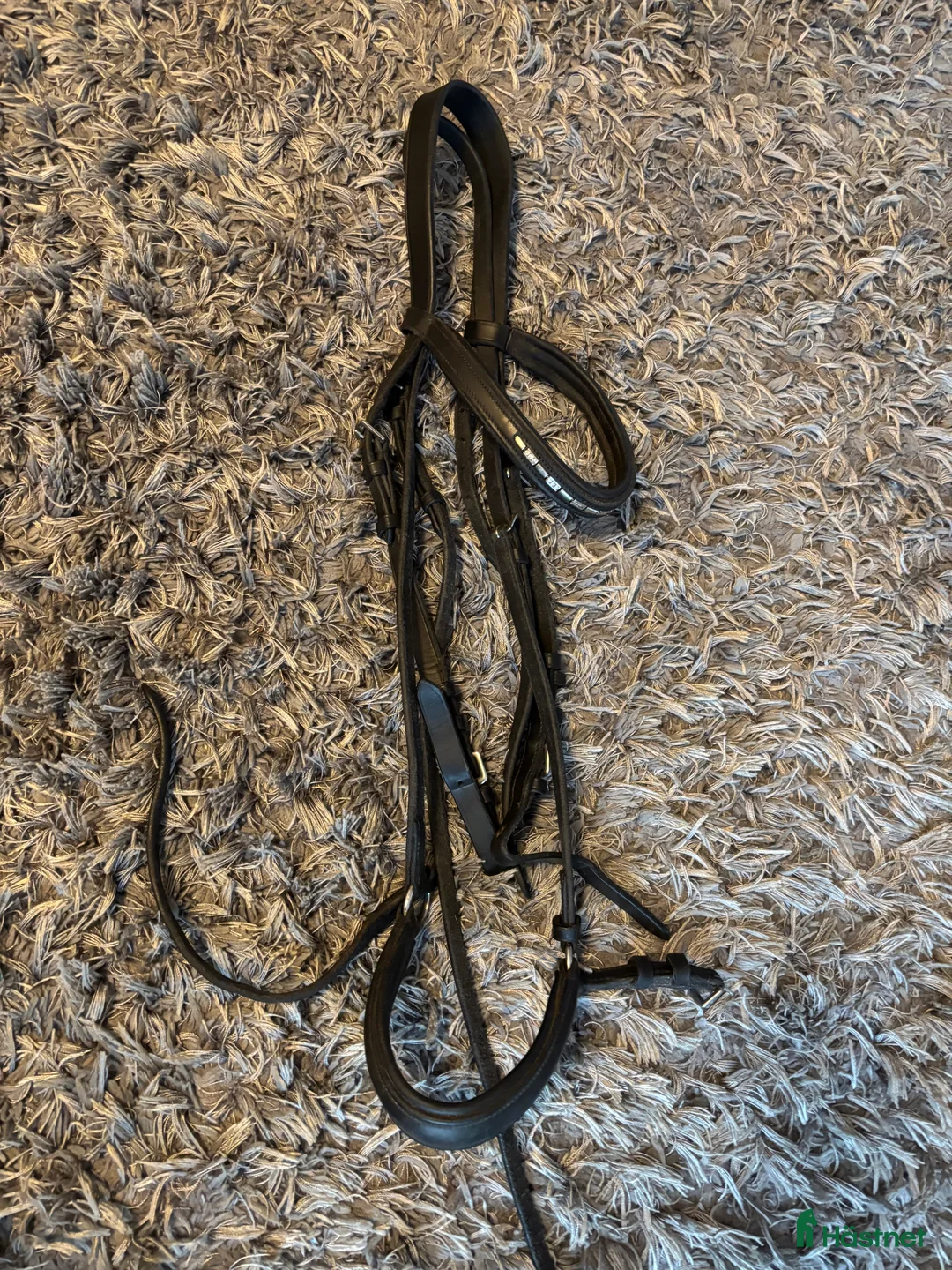 Övrig Hästutrustning hästutrustning till salu: Blandad hästutrustning  - Annons 4