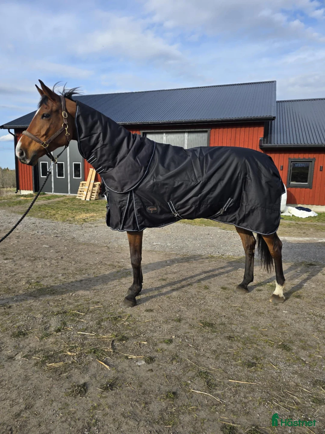 Täcken hästutrustning till salu: Nya täcken  i Åtvidaberg - Annons 1