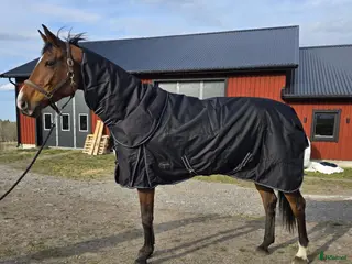 Täcken hästutrustning Nya täcken i Åtvidaberg - Annons 24