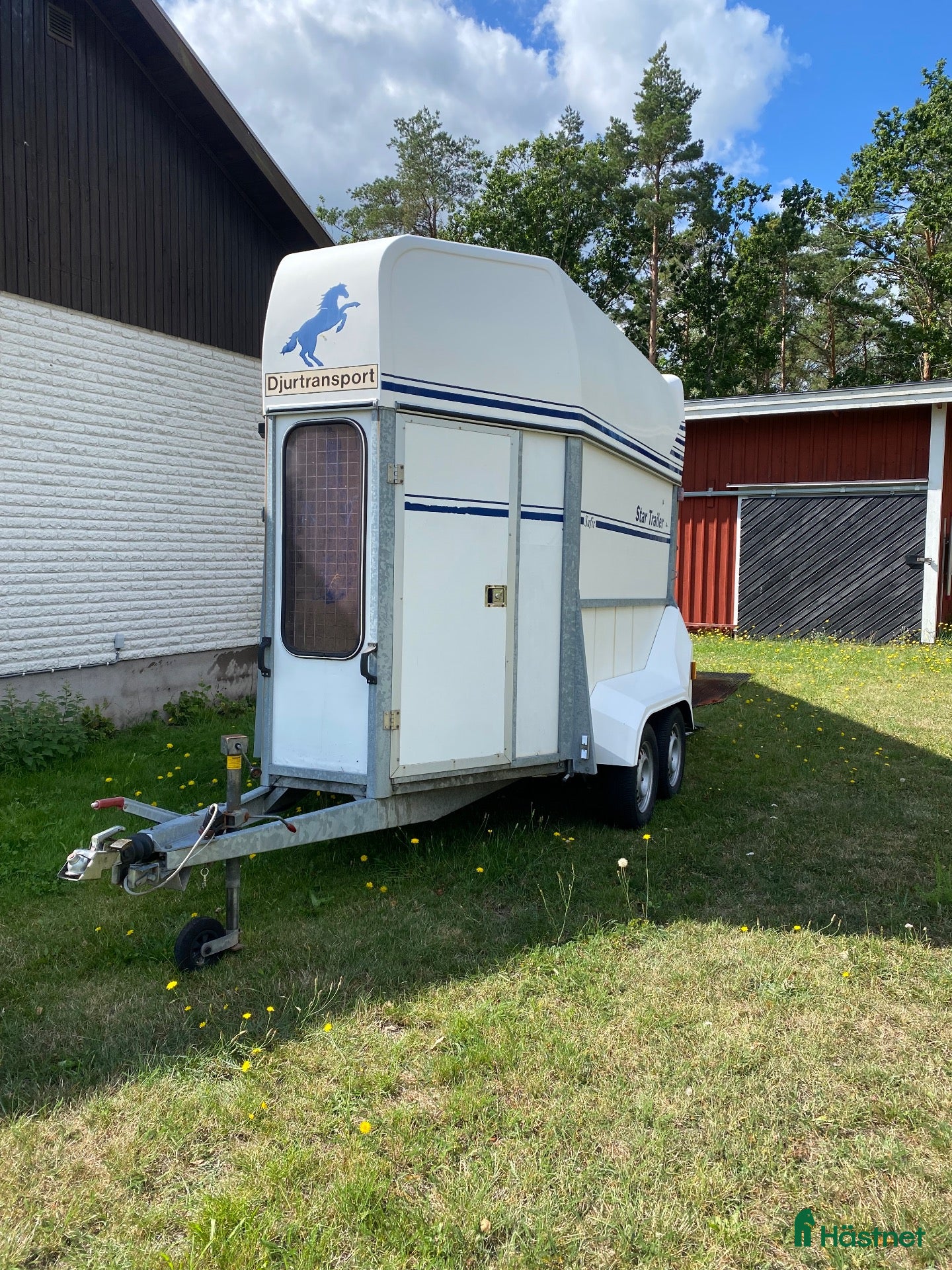 Hästtransporter  fordon & transport till salu: Star Trailer Safir med fronturlastning  - Annons 3