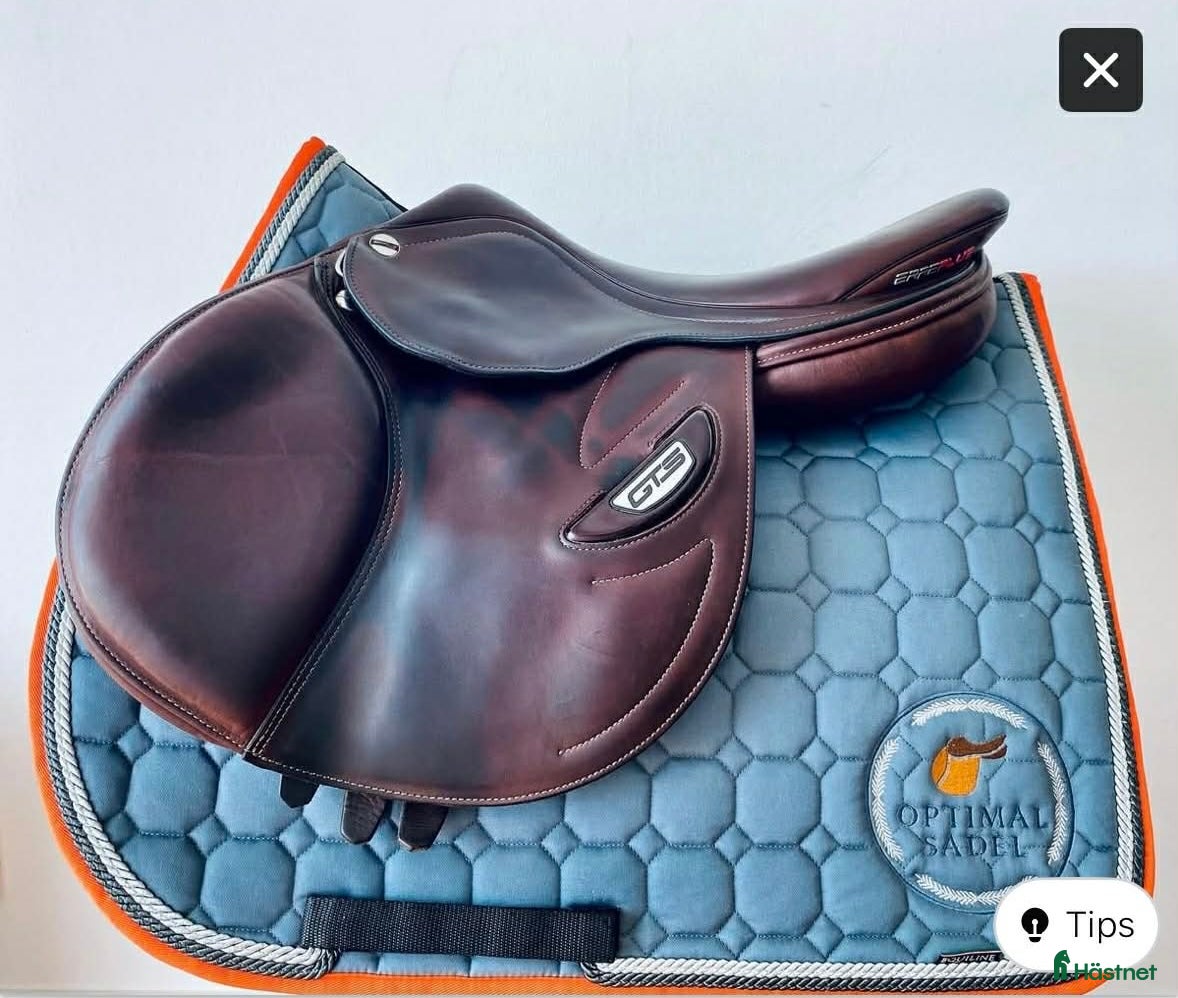 Sadlar hästutrustning Erreplus GTS - Annons 8