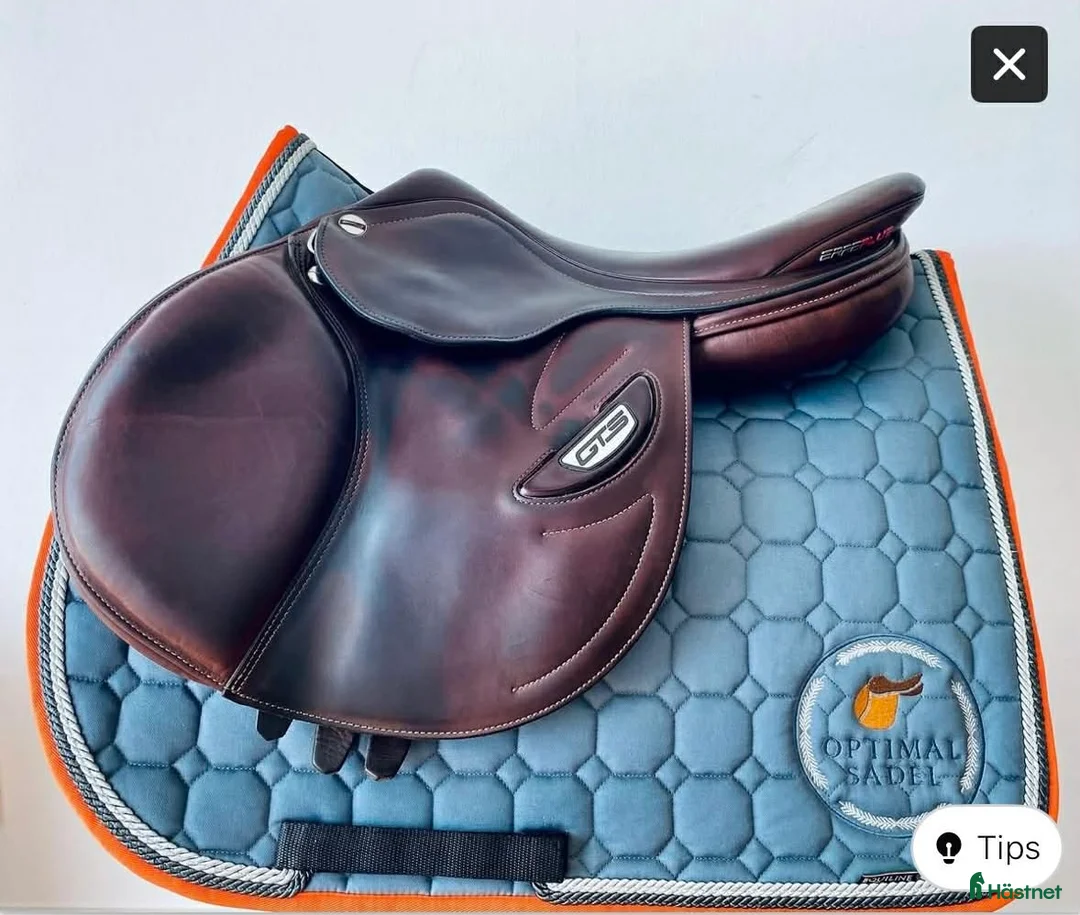 Sadlar hästutrustning till salu: Erreplus GTS i Borås - Annons 1