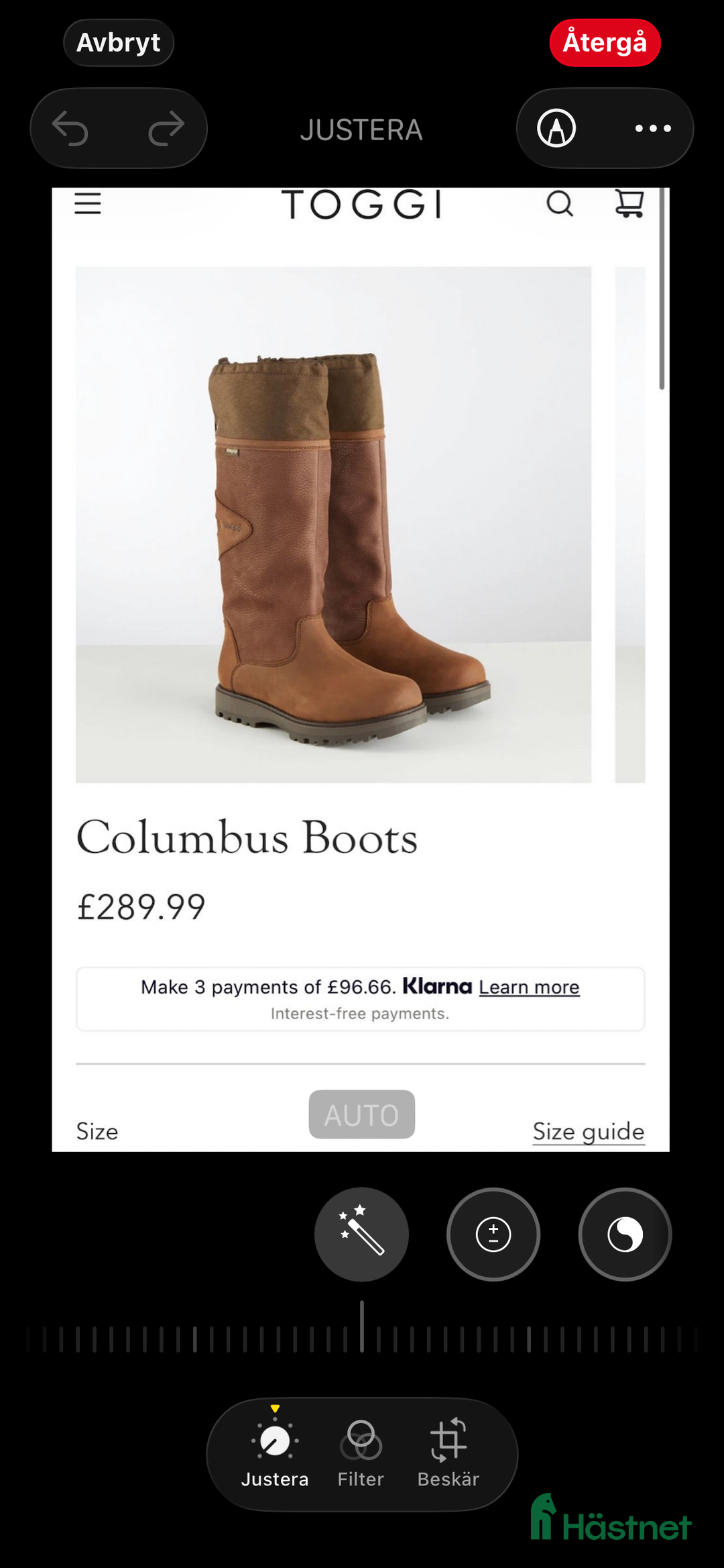 Övrig Hästutrustning hästutrustning till salu: Fenwick Huva & Toggi Columbus Boots i Hedemora - Annons 5