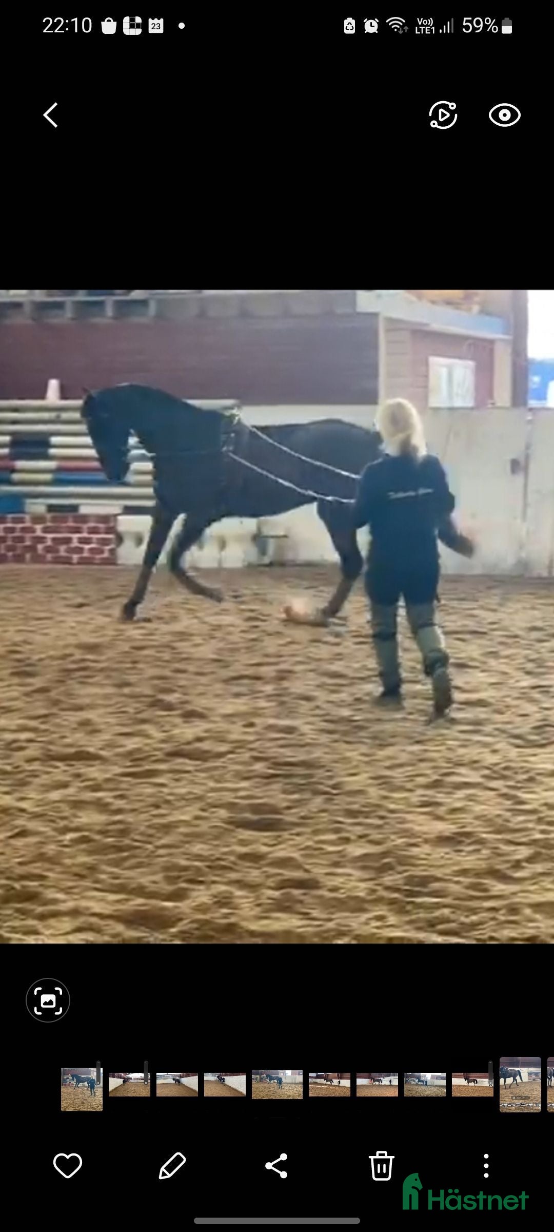  hästservice finnes: Tullnäs Gård Dressage´n Rehab i Norrtälje - Annons 3