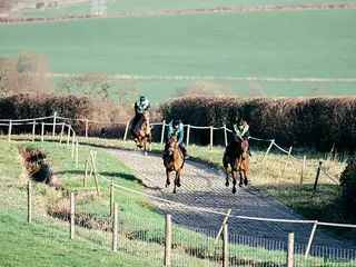 hästjobb Galopp stall med ridning, hopp & stallskötare i Stockholm - Annons 20
