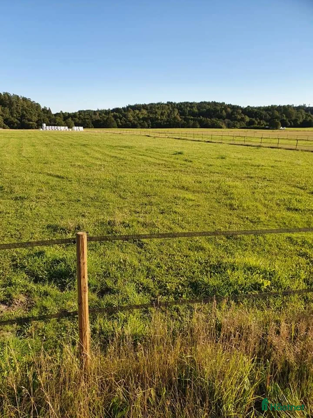  stallplats finnes: Ledig boxplats på fin anläggning i Uddevalla. i Uddevalla - Annons 15