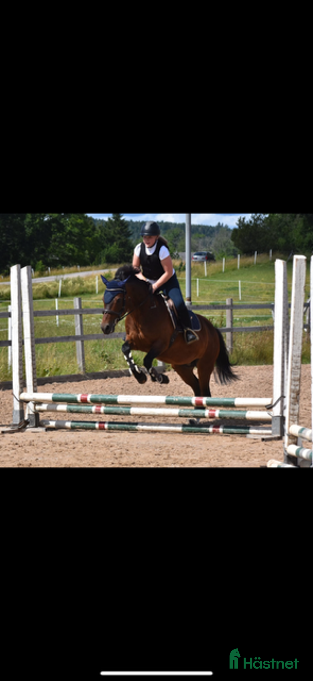 Allround hästar till salu: Bästa vännen säljes  i Mellerud - Annons 1