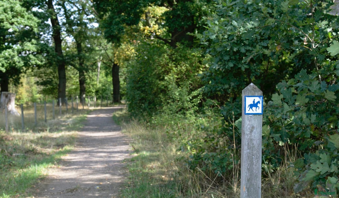  stallplats finnes: Stallplats centralt till Helsingborg  i Helsingborg - Annons 10