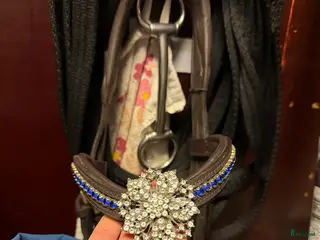 Träns hästutrustning Divoyh pannband i Haparanda - Annons 1