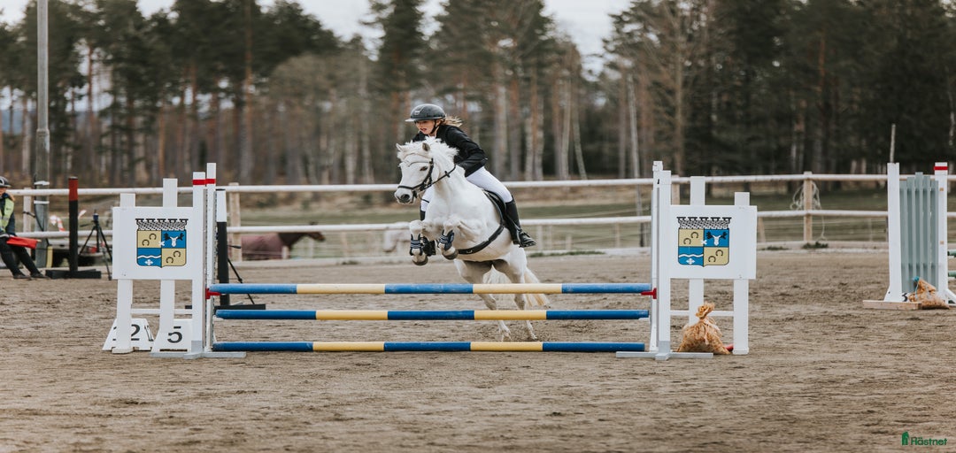 Galleribild {{count}}