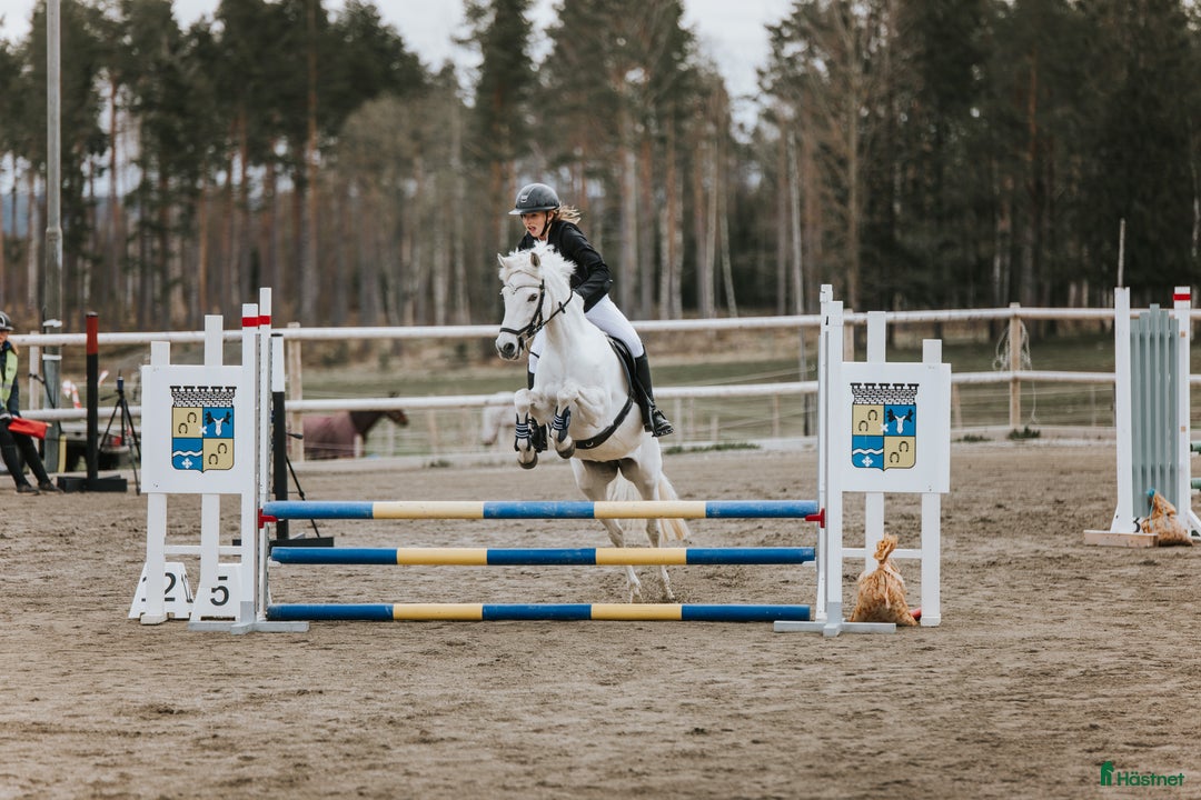 Galleribild {{count}}