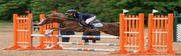 Galopp hästar till salu: Pony showjumping i Bräkne-Hoby - Annons 4