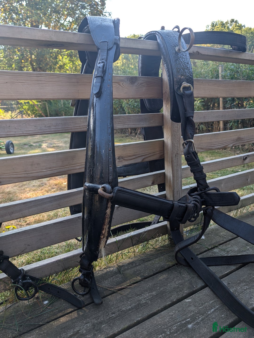 Körselar körning till salu: Parsele  i Höör - Annons 5