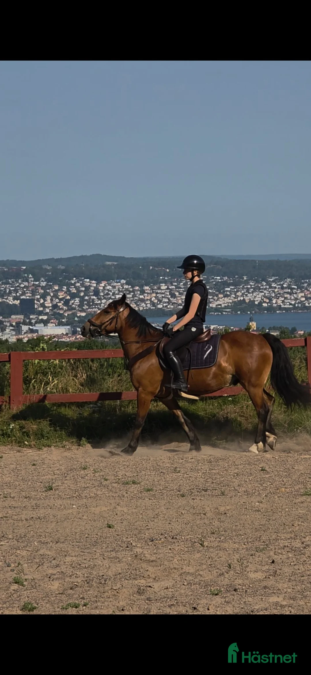  stallplats finnes: Stallplats - central men lantlig! - Annons 2