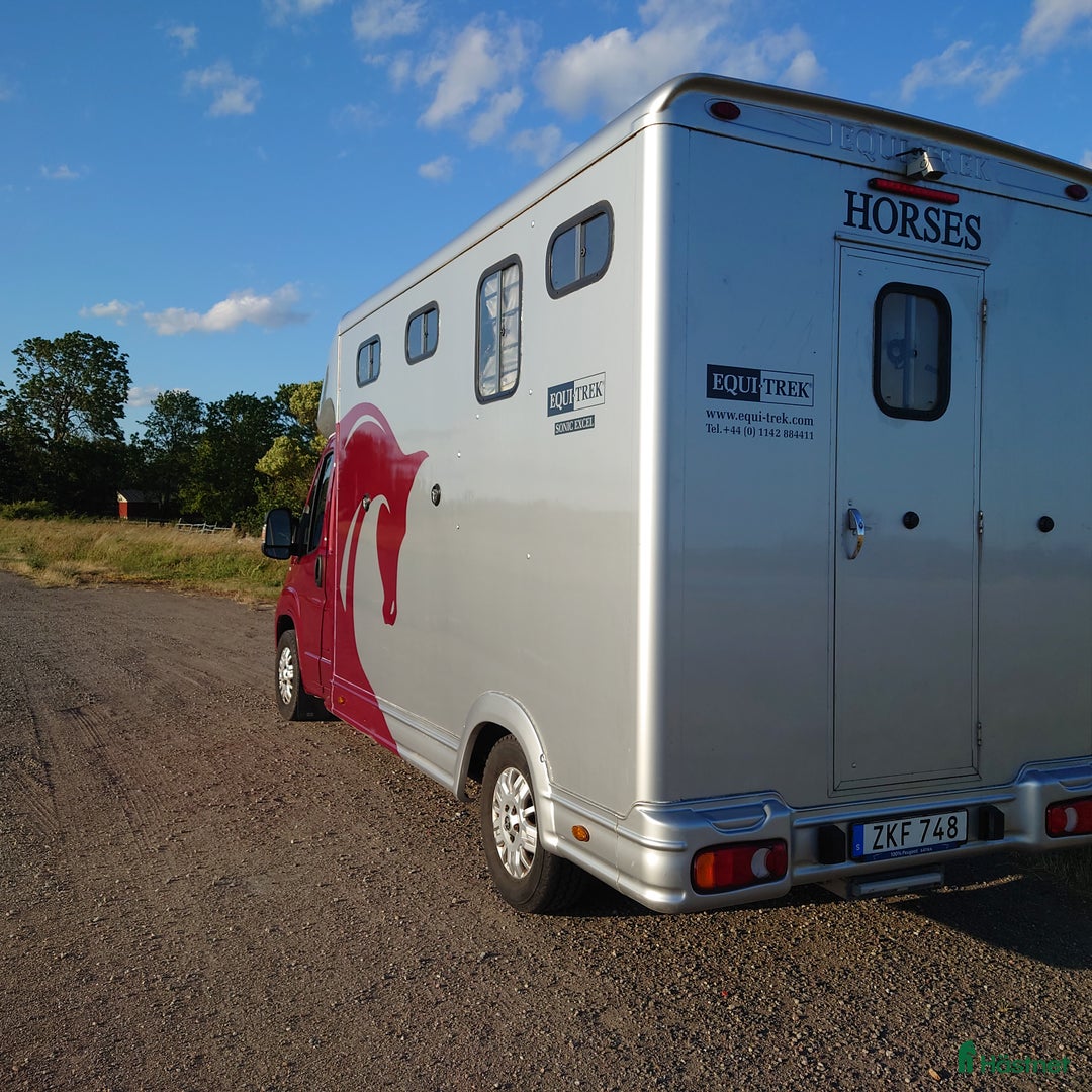 Hästlastbilar  fordon & transport till salu: Peugeot Equi-Trek 2018 i Borgholm - Bild 2