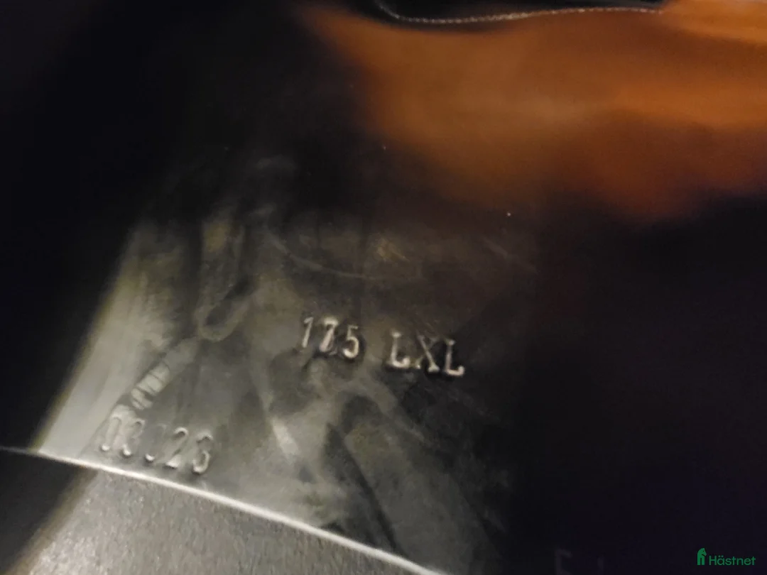 Sadlar hästutrustning till salu: Draupnir Embla i Almunge - Annons 5