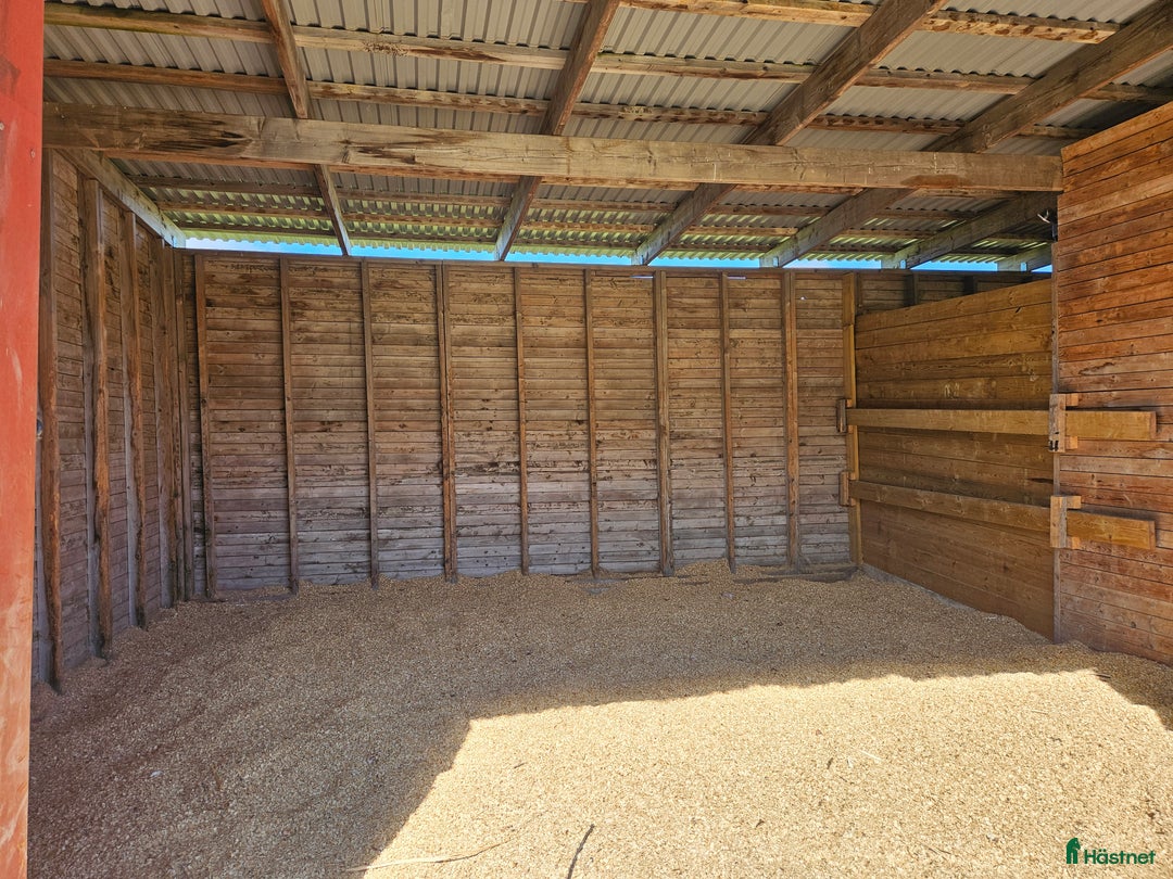  stallplats finnes: Lösdrift med egen box i Ärla - Annons 2