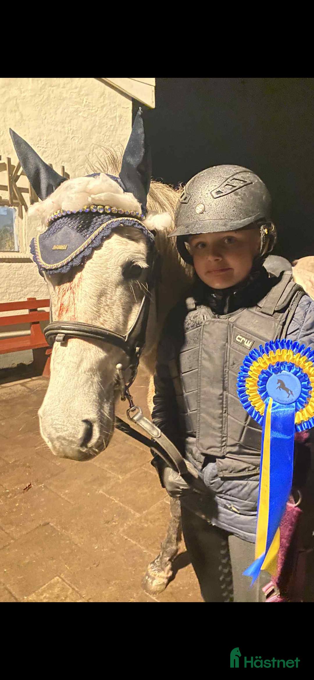 Allround hästar till salu: Fin B-ponny / tävlings ponny i Kävlinge - Annons 9