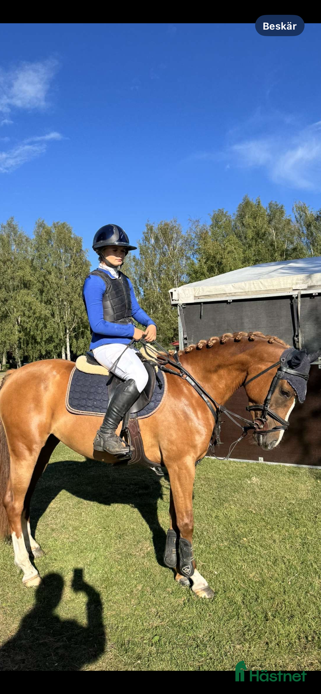 Hoppning hästar till salu: Ungponny SM kvalad🇸🇪🌟 i Kalmar - Annons 3