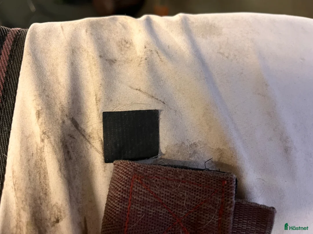 Täcken hästutrustning till salu: Rambo summer series - Annons 5