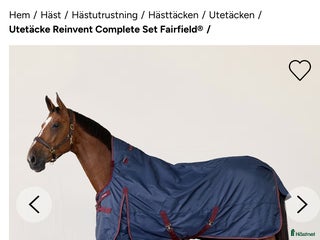 Täcken hästutrustning till salu: Utetäcke helt set om 3 delar i Skänninge - Annons 19