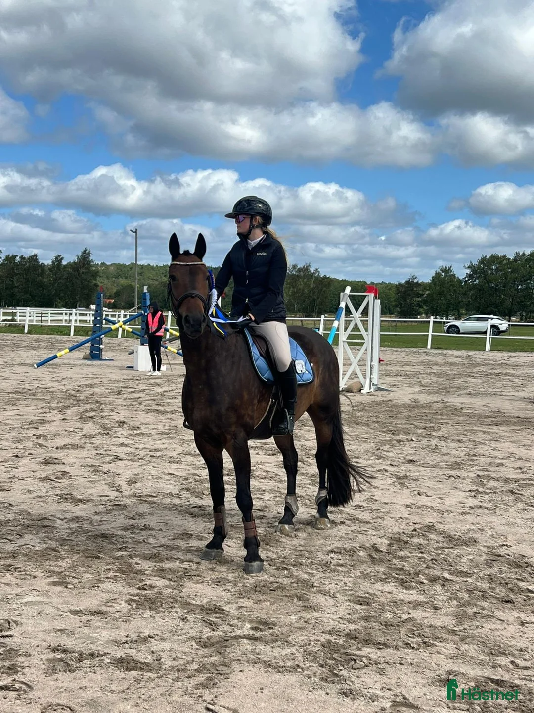 Hoppning hästar till salu: D-ponny med rutin och hjärta i Kinna - Annons 2