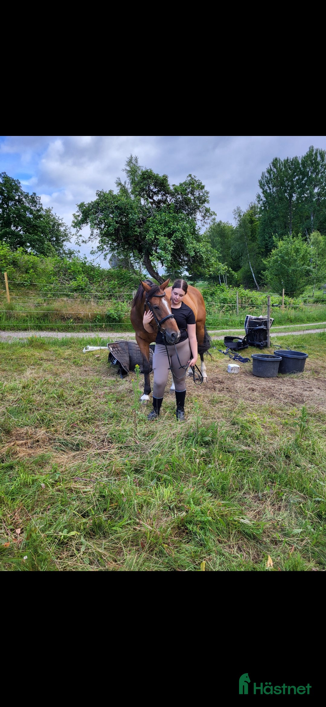 Allround hästar till salu: Säljes i Bräkne-Hoby - Annons 1