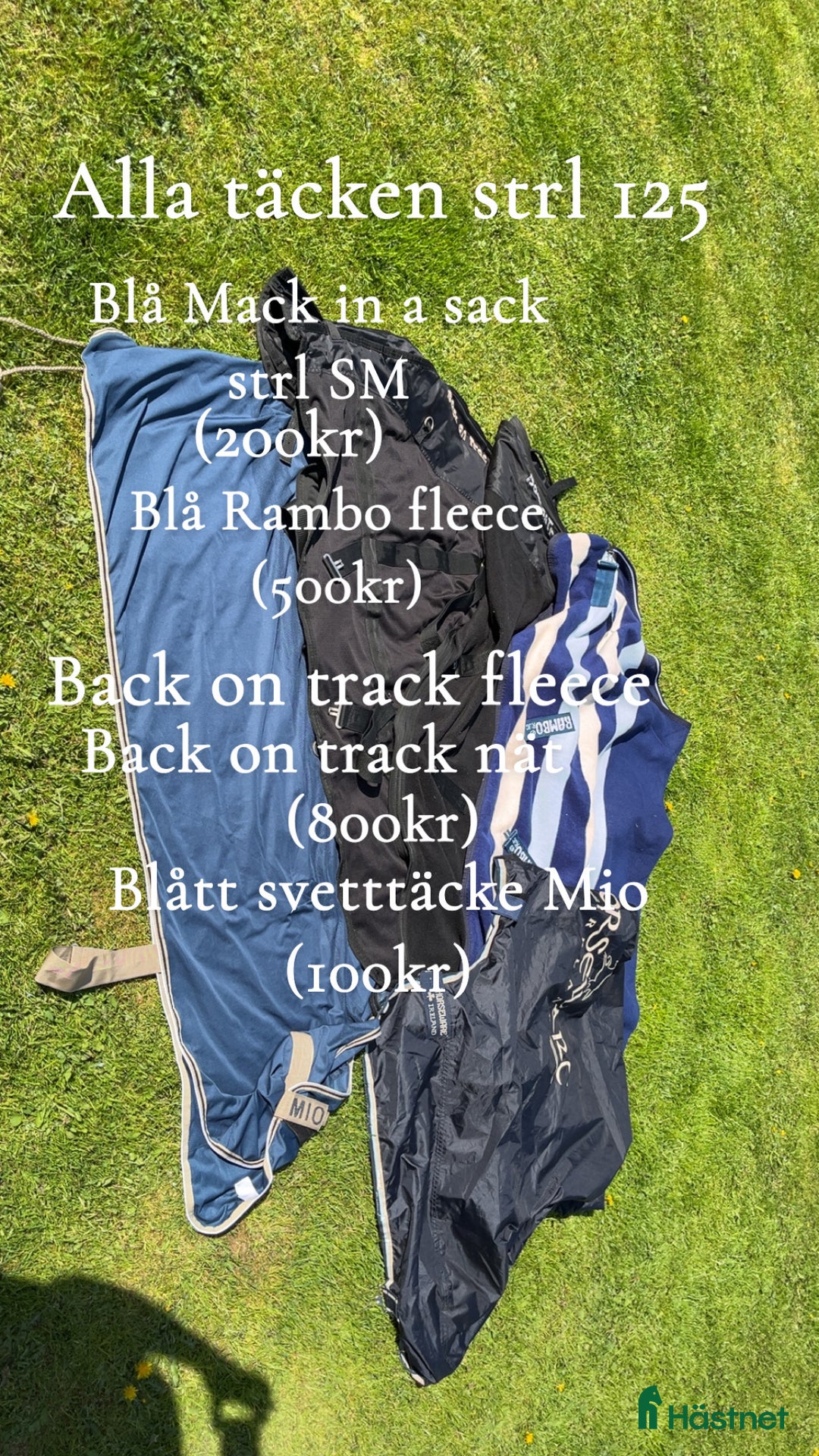 Täcken hästutrustning till salu: Amigo, Rambo, back on track & Dion i Alunda - Annons 3