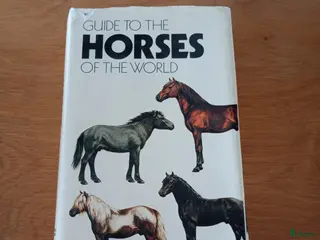 Övrig utrustning övrig utrustning till salu: Fakta bok om hästraser - Annons 2