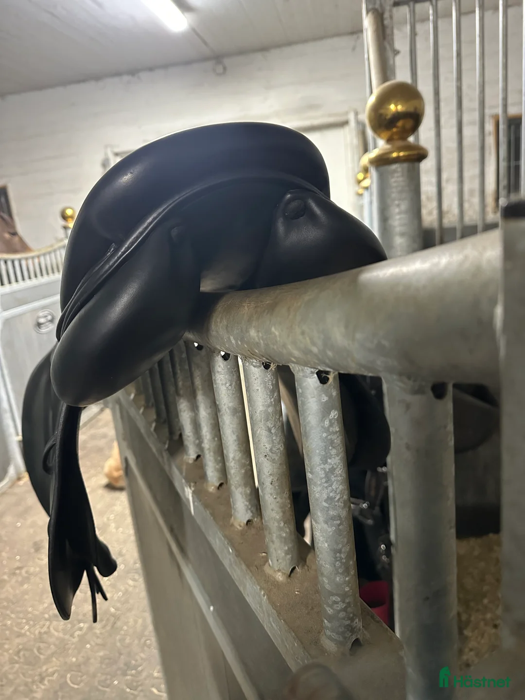 Sadlar hästutrustning till salu: 16’ Renissance sadel - Annons 2