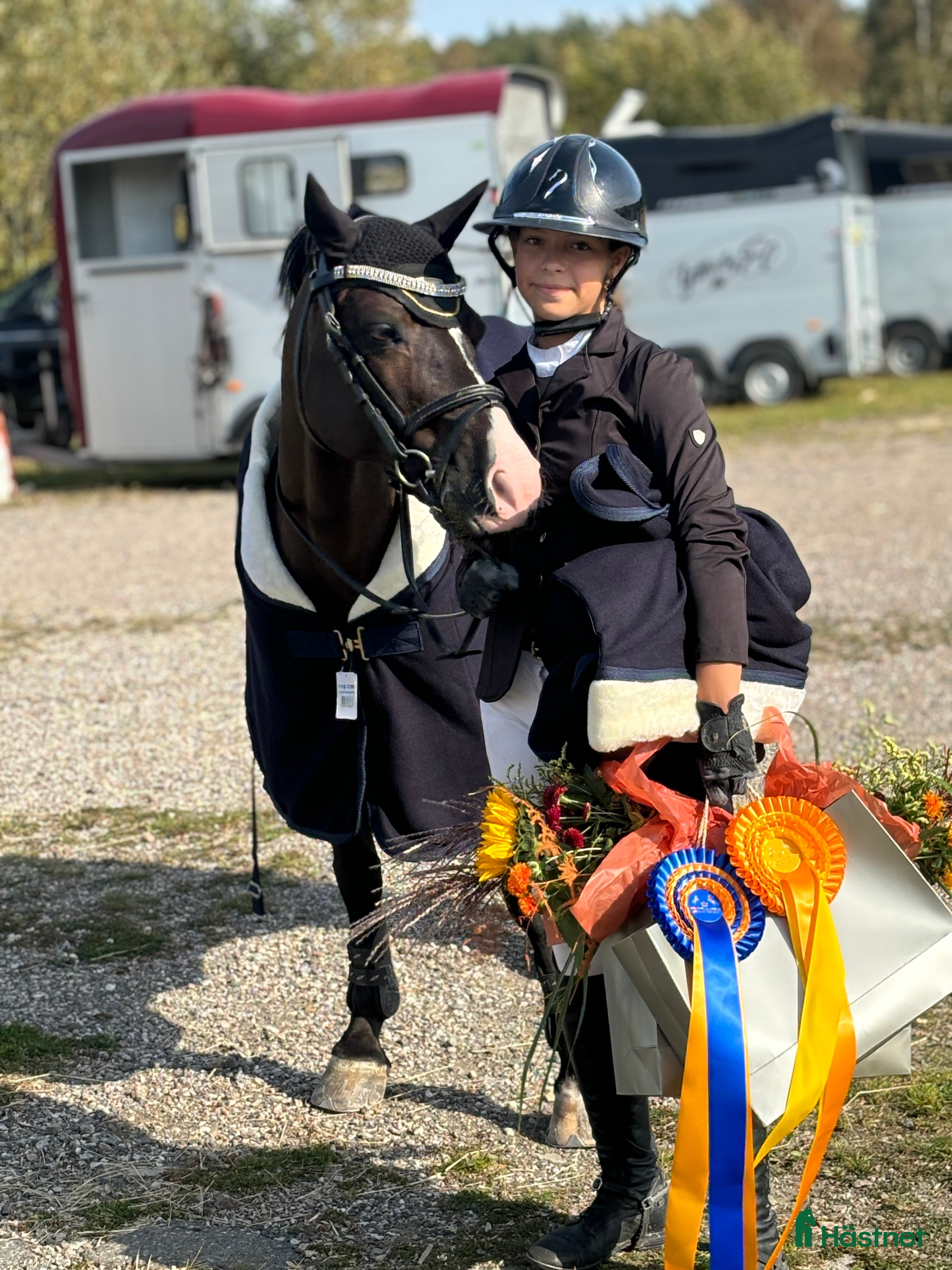 Hoppning hästar till salu: Maxad B-ponny! i Göteborg - Annons 4