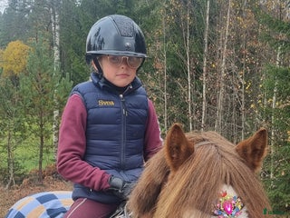 hästar Söker B-ponny i Ekenässjön - Annons 16