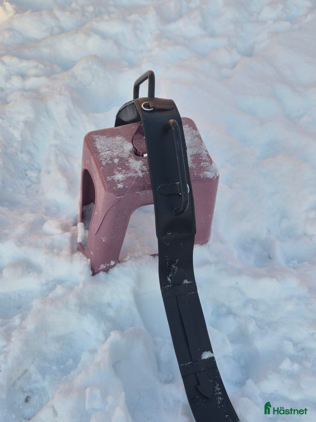 Övrig Hästutrustning hästutrustning till salu: Voltigegjord svart läder i Upplands Väsby - Annons 1