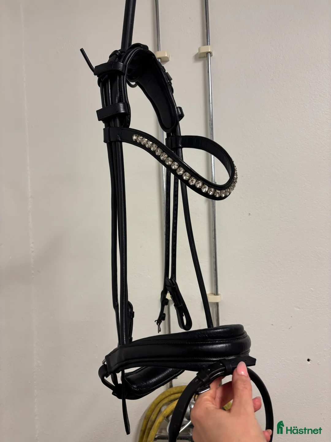 Träns hästutrustning till salu: SD Design träns  - Annons 1