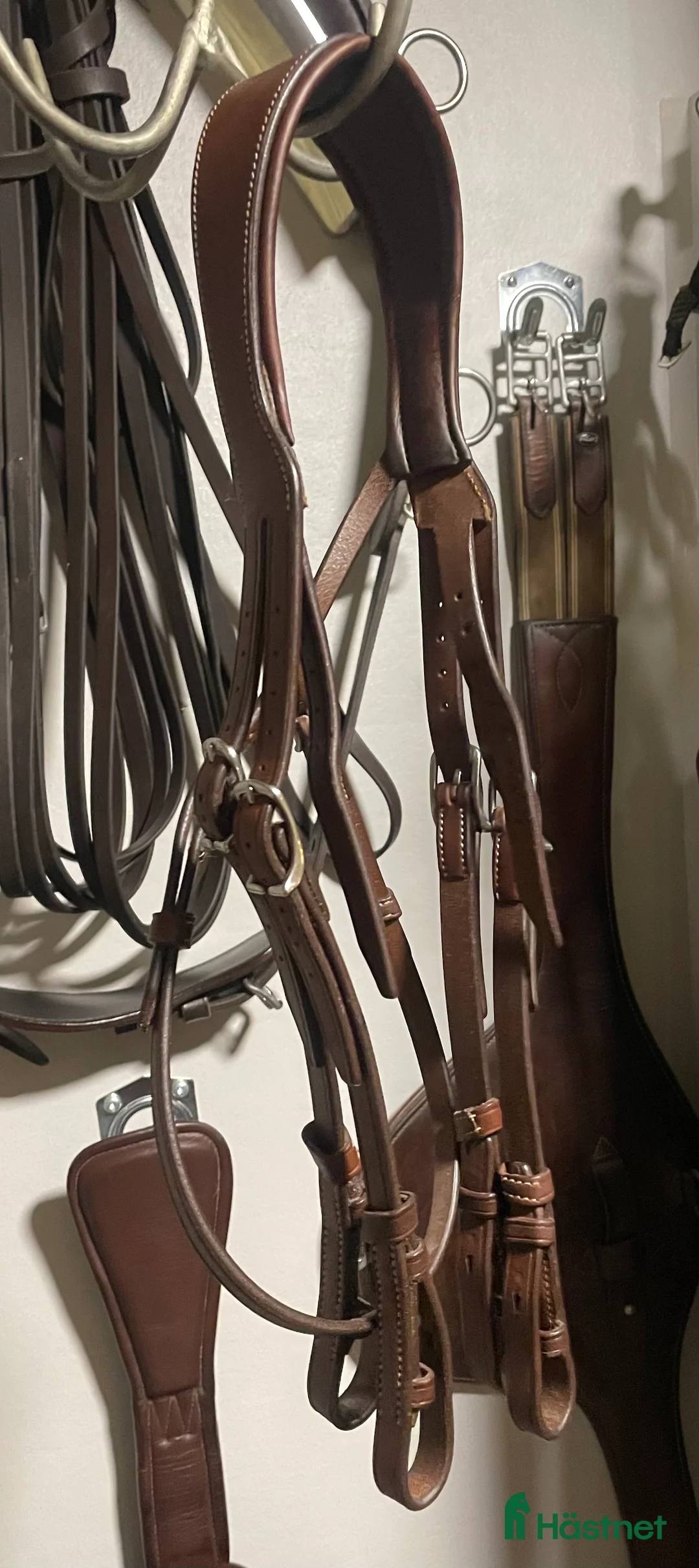 Träns hästutrustning till salu: Antares Origin nackstycke kandar i Katrineholm - Annons 2