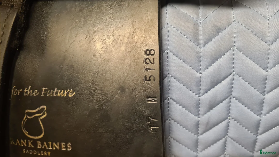 Sadlar hästutrustning till salu: Frank Baines Elegance i Hamneda - Annons 3