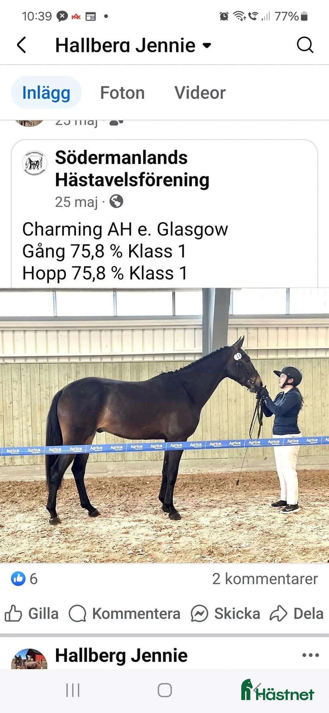 Allround hästar till salu: Swb valack 4år i Björnlunda - Annons 2