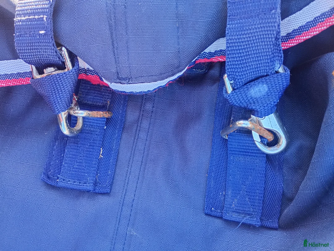 Täcken hästutrustning till salu: Regntäcke  - Annons 5