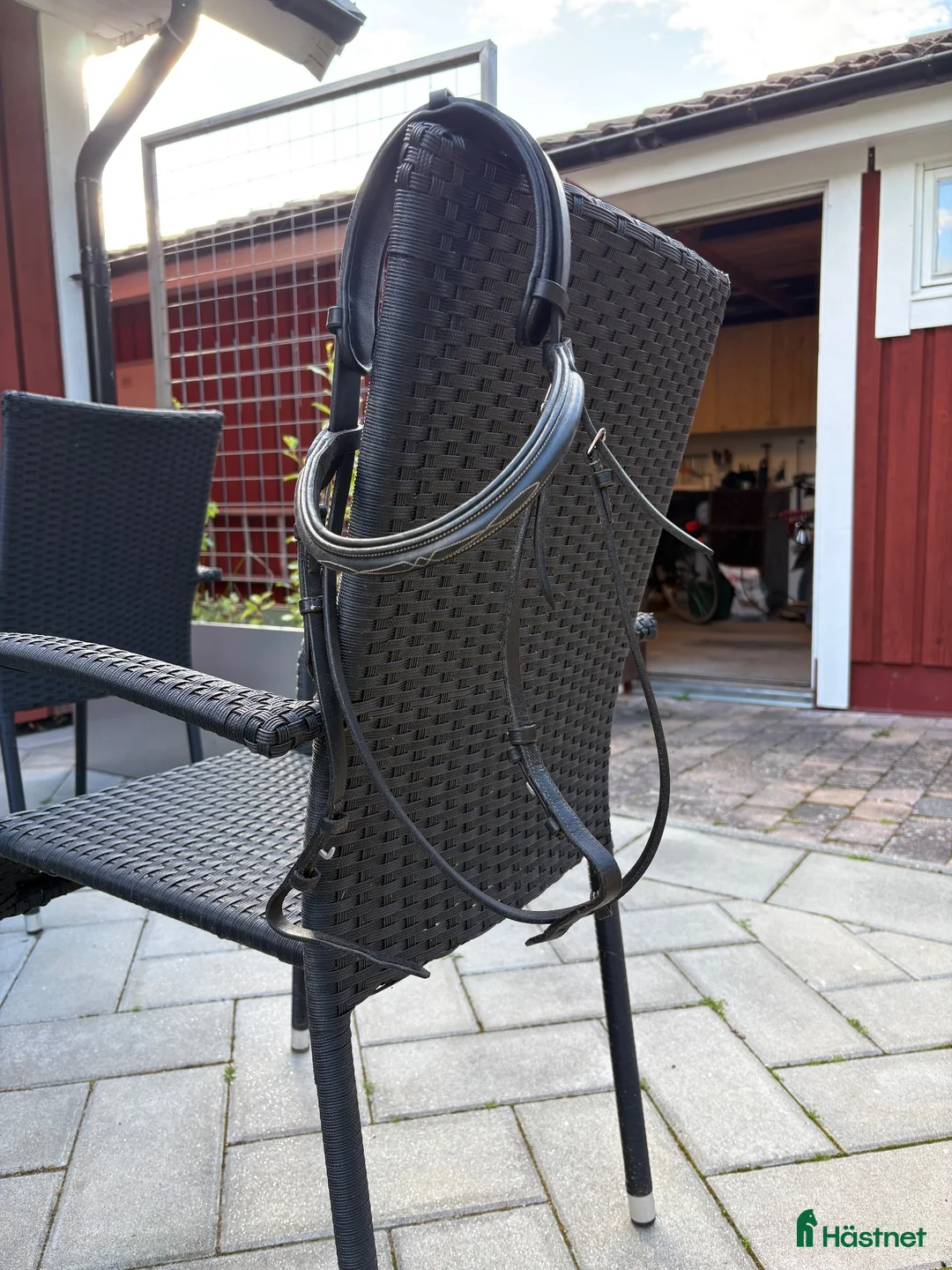 Träns hästutrustning till salu: Träns  - Annons 1