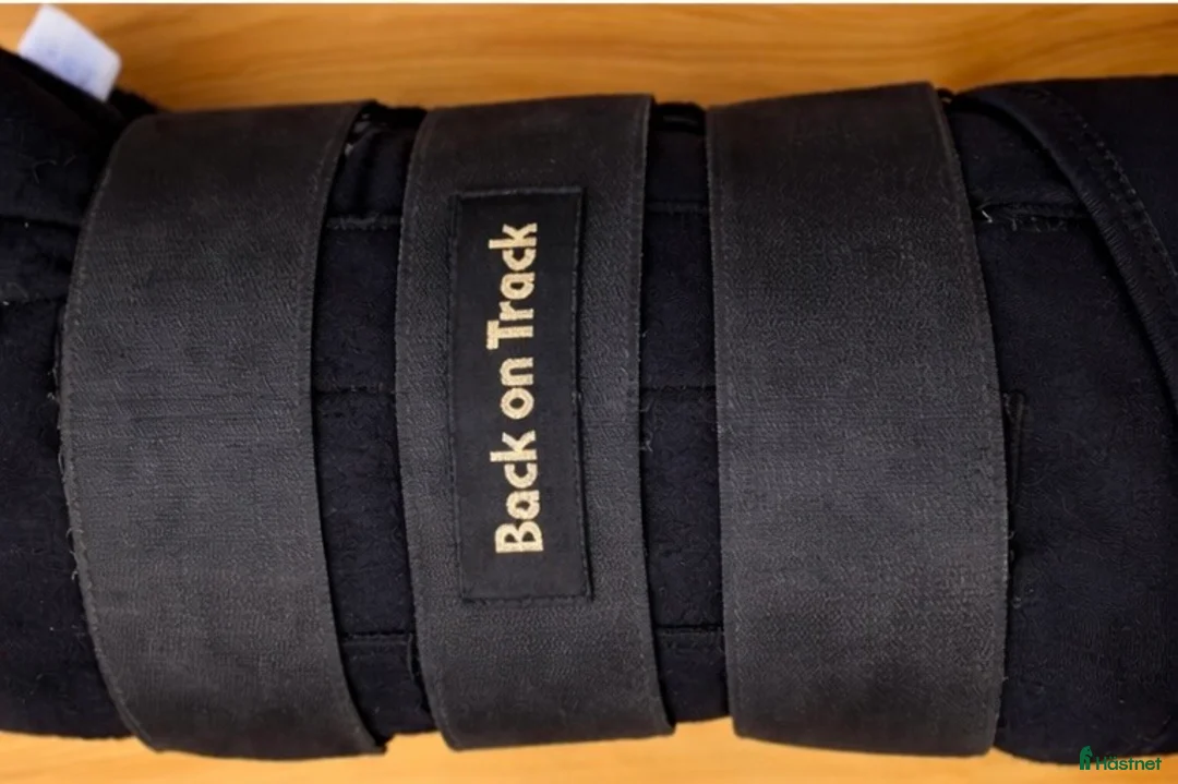 Benskydd hästutrustning till salu: Back on track  - Annons 2