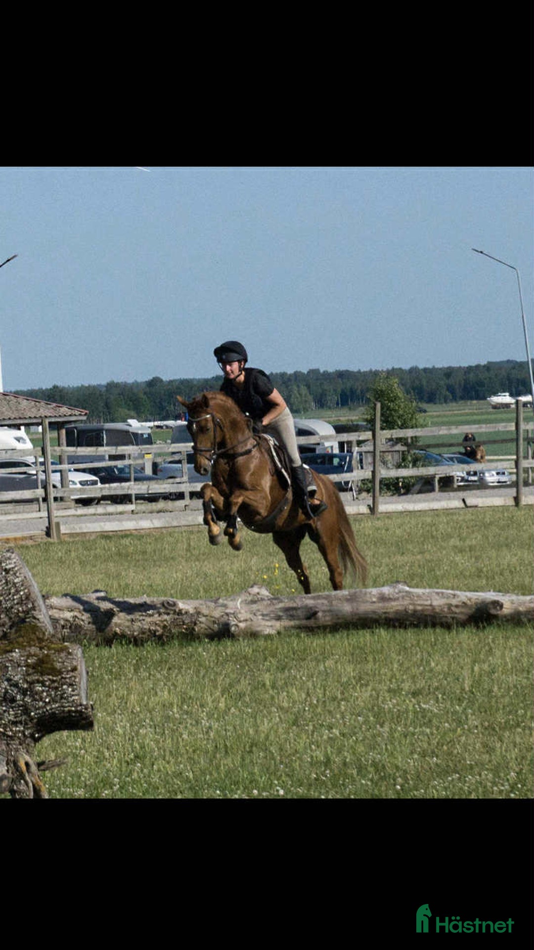 Allround hästar till salu: UTVECKLINGSBAR D-PONNY i Vintrosa - Annons 7
