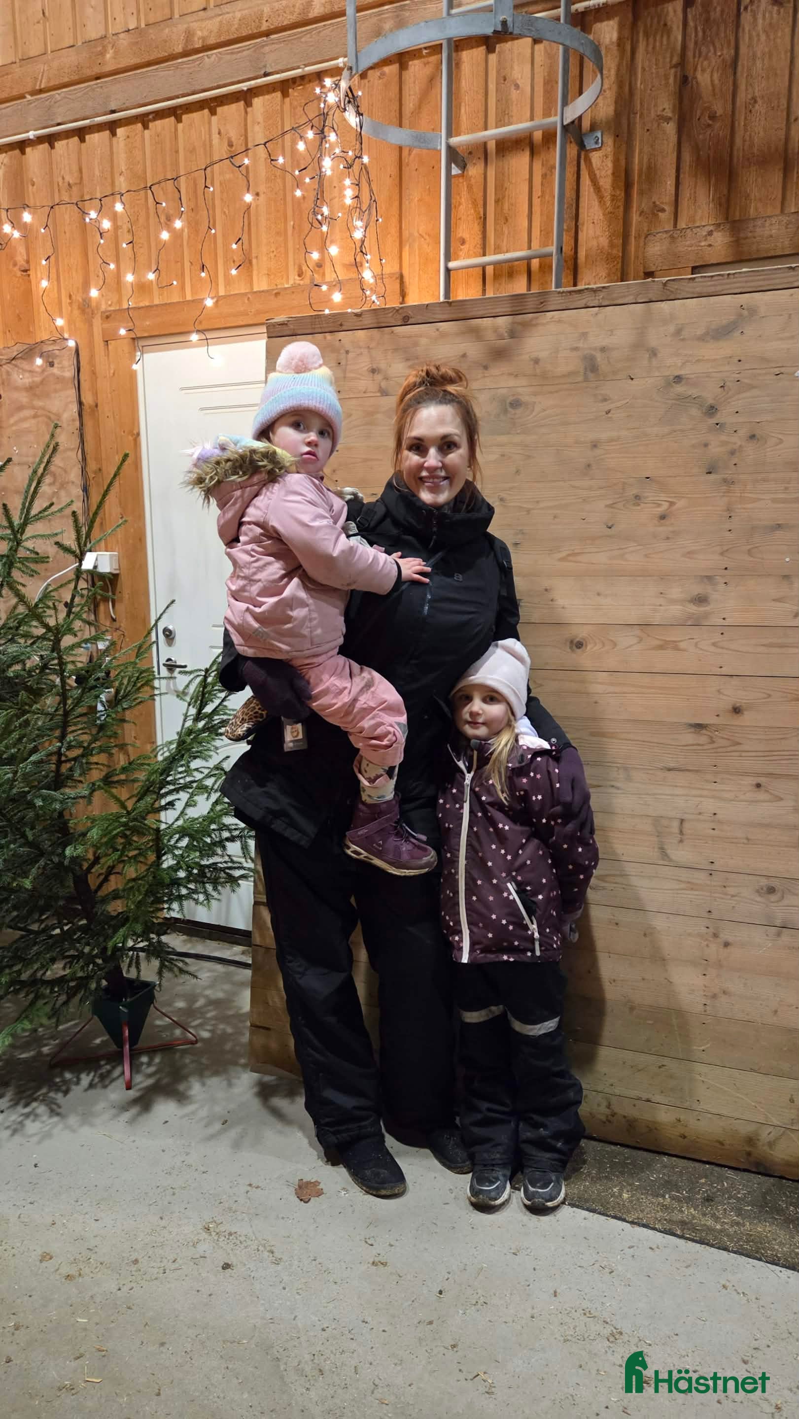  hästar Lugn familjemedlem sökes i Bottnaryd - Annons 3