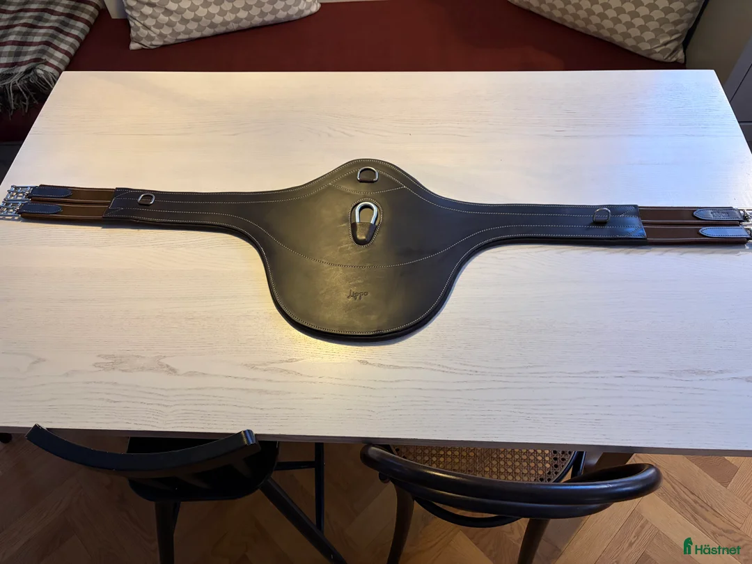 Sadeltillbehör hästutrustning till salu: Lippo magplattegjord - Annons 1