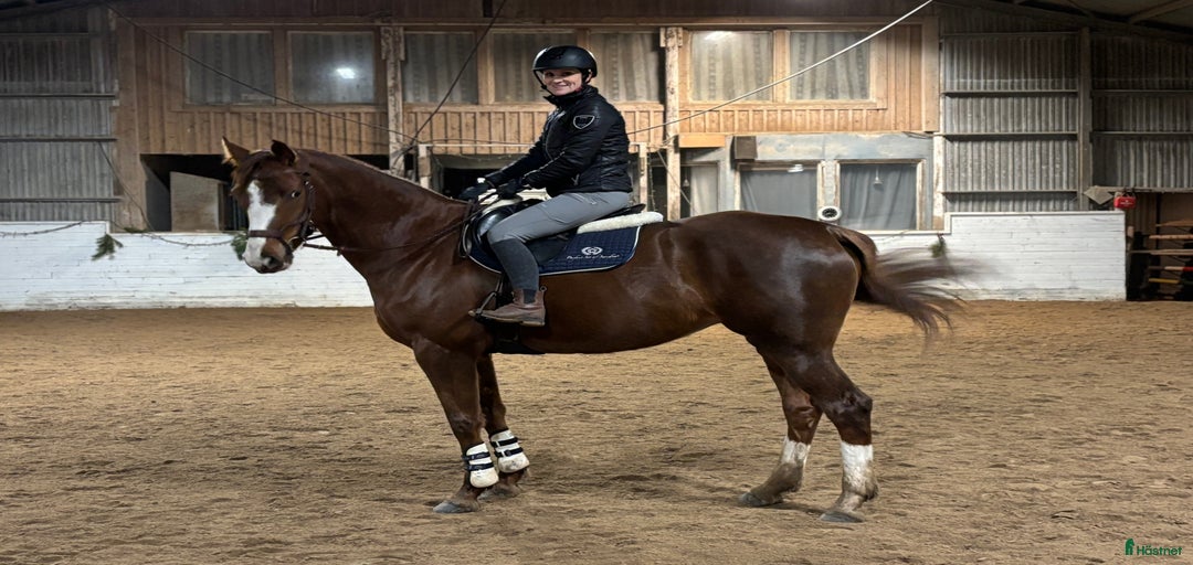 Galleribild {{count}}