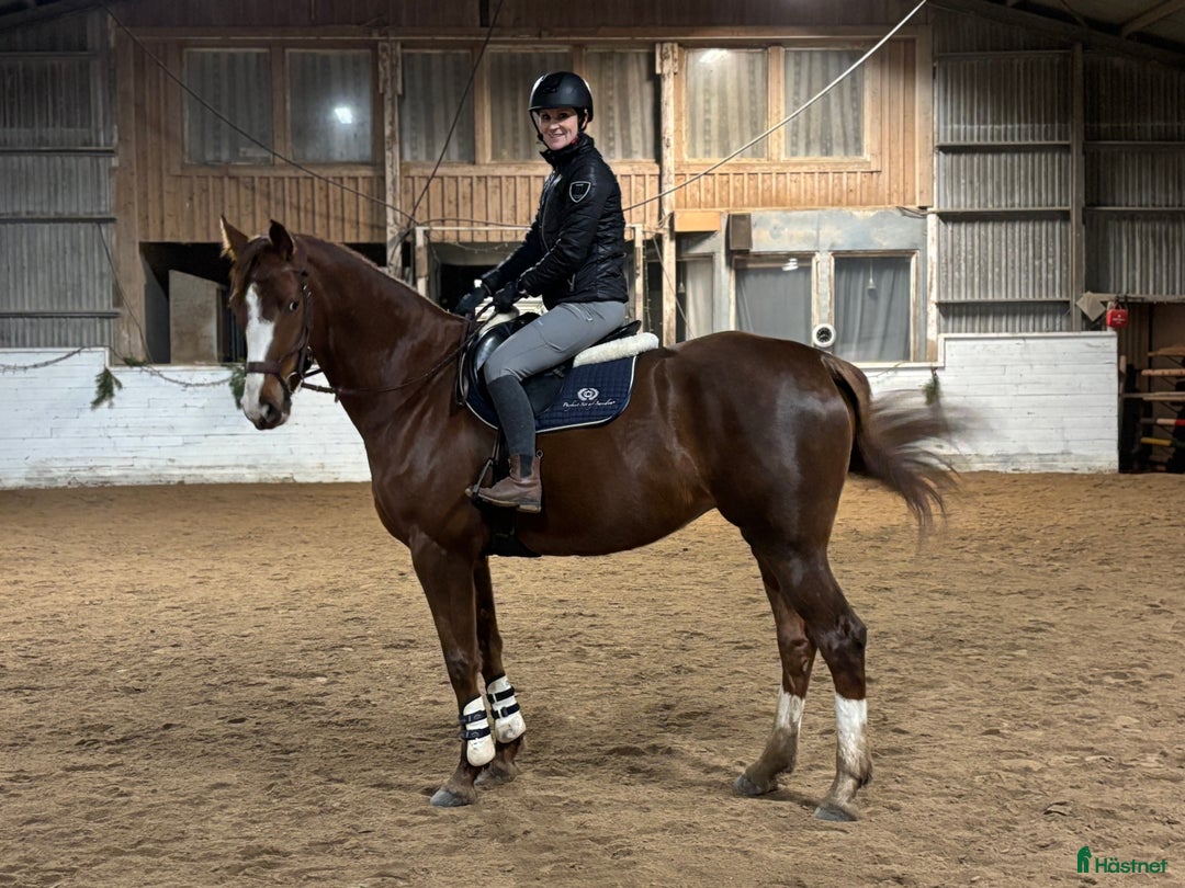 Galleribild {{count}}