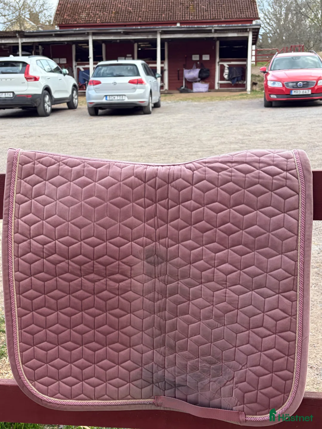 Schabrak & Vojlockar hästutrustning till salu: Kentucky Velvet Schabrak - Annons 2