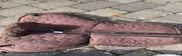Sadeltillbehör hästutrustning till salu: Korrektionspad - Annons 2